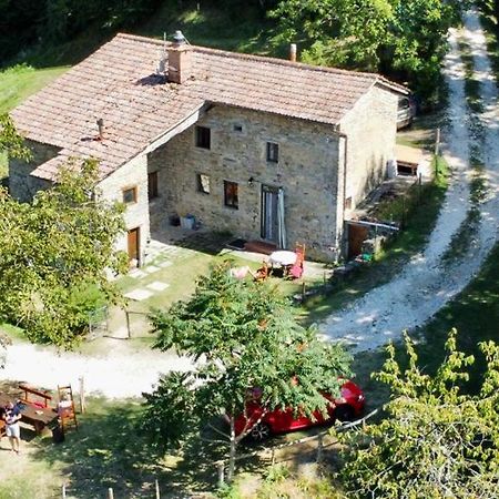 Mimmo'S Holiday House San Godenzo エクステリア 写真