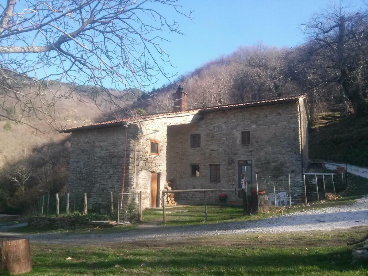 Mimmo'S Holiday House San Godenzo エクステリア 写真