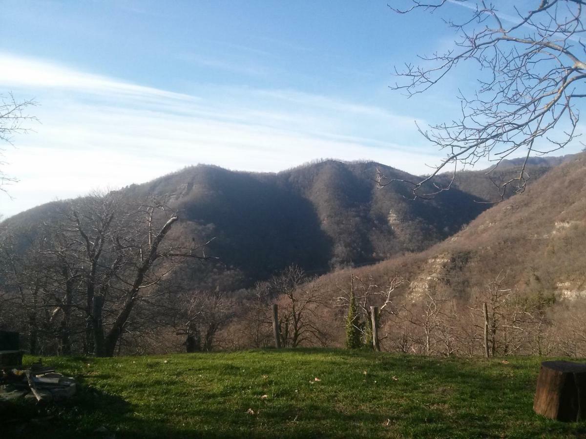 Mimmo'S Holiday House San Godenzo エクステリア 写真